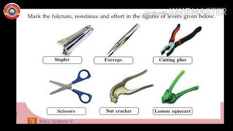 KRSMA#Standard 5 Basic Science Part 2 Lesson 6 A Little Effort,Lot Of Work.