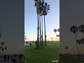 Venice Beach Skate Park #beach #sunset #park #skatepark #venice #shorts