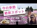 【リターンライダー63夫婦 春の絶景ツーリングin秩父】リターンライダー63bike vlog