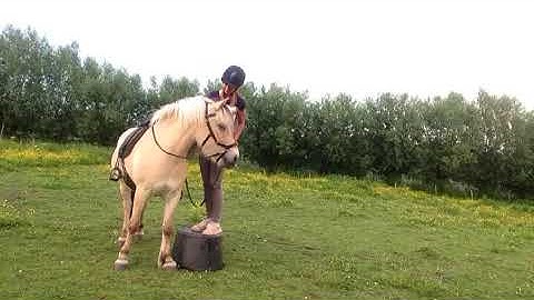 WhatsApp Video 2018 05 23 at 21 17 14