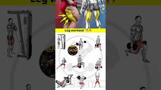 BRUTAL Leg Workout | Dumbbells ONLY | Build Muscle #legworkout #shorts #gym #workout