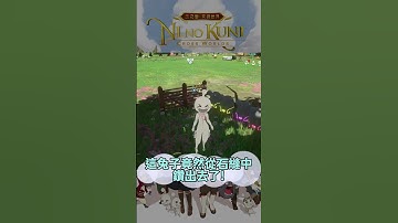 全天下最邪惡的寵物兔｜#二之國交錯世界