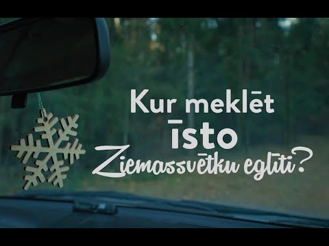 Ziemassvētku eglīte no Latvijas valsts mežiem: kur un kādu to meklēt?