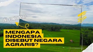 Mengapa Indonesia Disebut Negara Agraris Ini Faktanya!