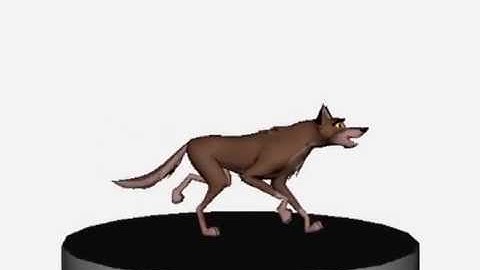 Four legged animal walk cycle