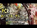 【素人DIY】KEIHIN FCR SR250 一難去って また一難【名車？迷車？希少車？】