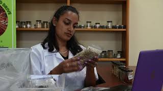 Seed Herbaria: A Promise for the Future