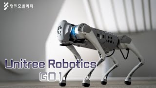 [Unitree Robotics] 유니트리 4족 보행 로봇 GO1!