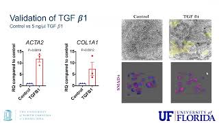 Hubmap Summer Internship 2025 - Presentation 2