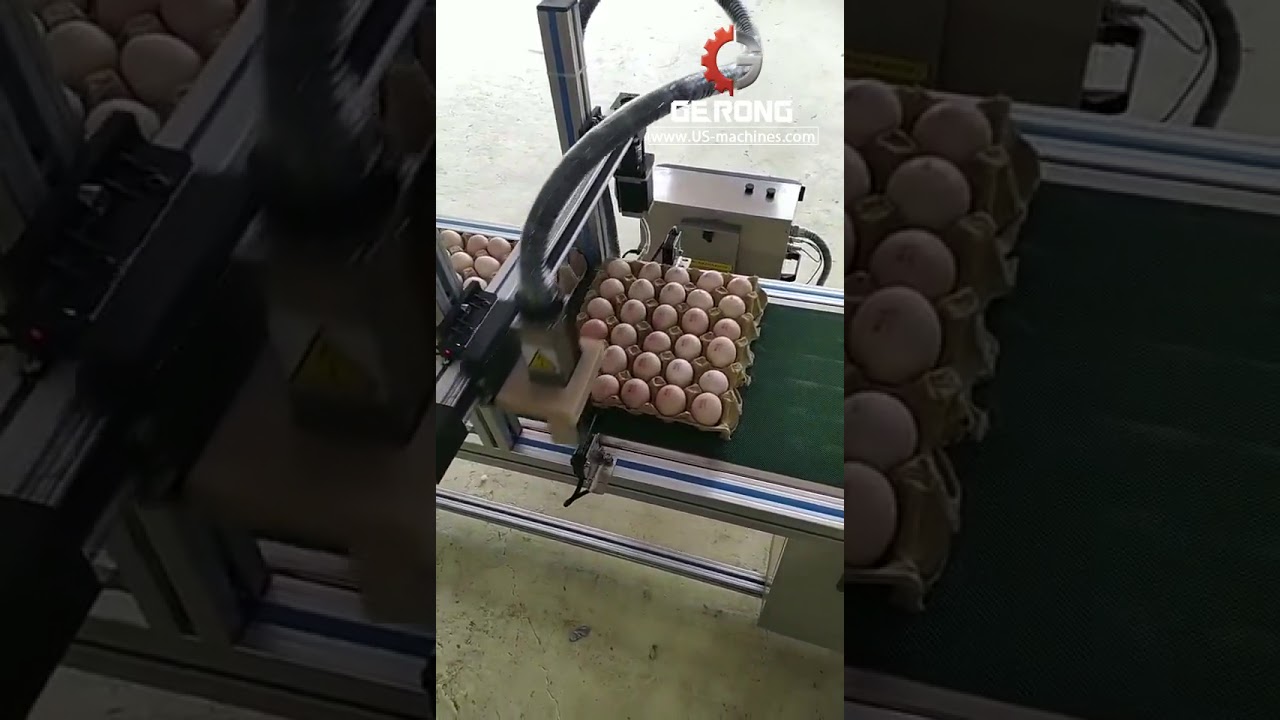Egg tray ink jet printing machine automatic egg printer equipment