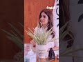 عادل الطراروة بصمة خالدة