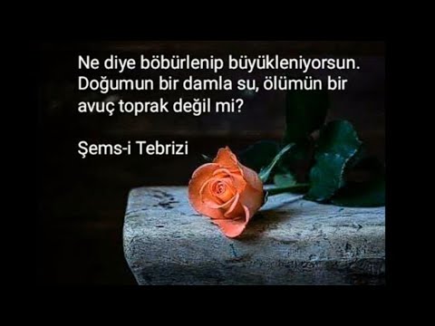 Güzel Sözler 🌹 Mutlaka Dinleyin 🌻Aşırı Anlamlı Güzel Sözler🌹Muhteşem Sözler Videosu🌹Çok Güzel Sözler