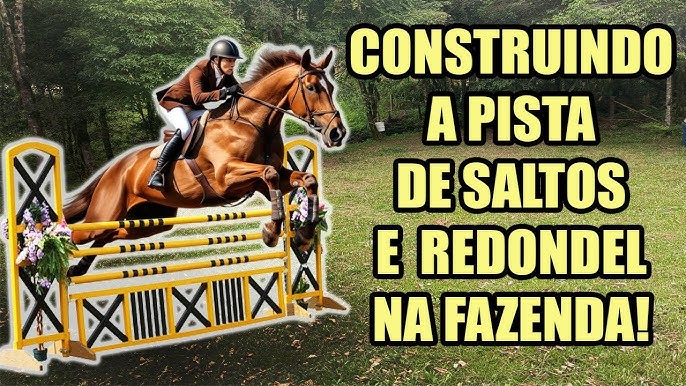 ENCONTREI O MELHOR JOGO DE CAVALO PARA PC! That Horse Game 