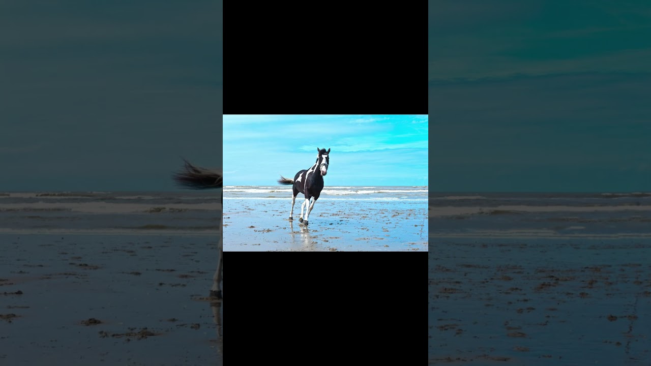 People born on March 21st common years or March 20th leap years