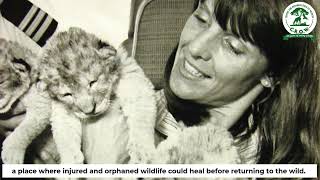 Crow - 45 Years Of Saving Wildlife