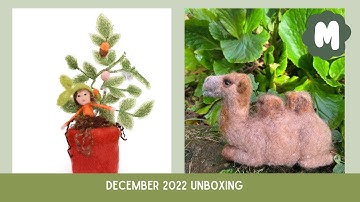 December 2022 Unboxing