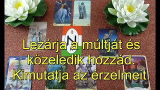 Mit gondol, mit érez és mit fog tenni? Jóslás #ikerláng #tarot #lelkitárs