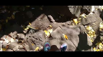 Doing parkour in first person at my house 