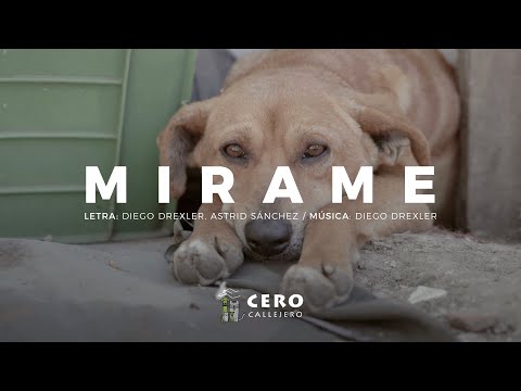 "Mirame", himno de la fundación CERO Callejero a cargo de Diego Drexler