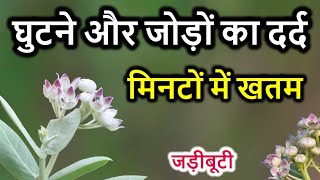 10 मिनट में घुटने ,हाथ ,पैर ,कमर और जोड़ों का दर्द जड़ से खत्म हो जायेगा । Aak ke Fayde. screenshot 3