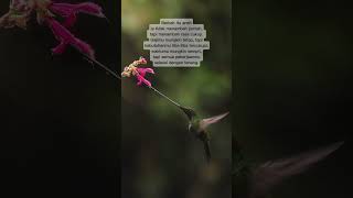 Download Lagu Berkah #reels #motivasidiri #catatanmotivasi #quotes #motivasihidup MP3 Download Lagu Berkah #reels #motivasidiri #catatanmotivasi #quotes #motivasihidup MP3