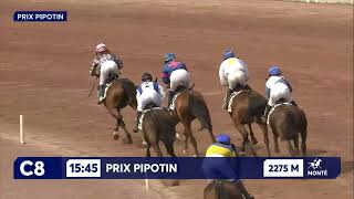 Vidéo de la course PMU PRIX PIPOTIN
