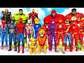 THE AVENGERS TEAM SPIDER MAN VS TEAM FLASH Lion King Is Captured Epic Superheroes War 