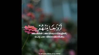 Download Lagu SURAH AL HIJR | AYAH 87-88             QURAN MALAYALAM RECITER: hazza al balushahi MP3
