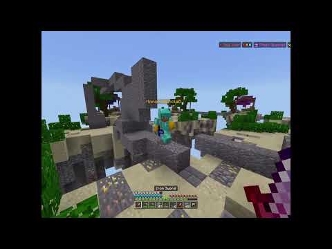 Weird Encounter in Hive Skywars