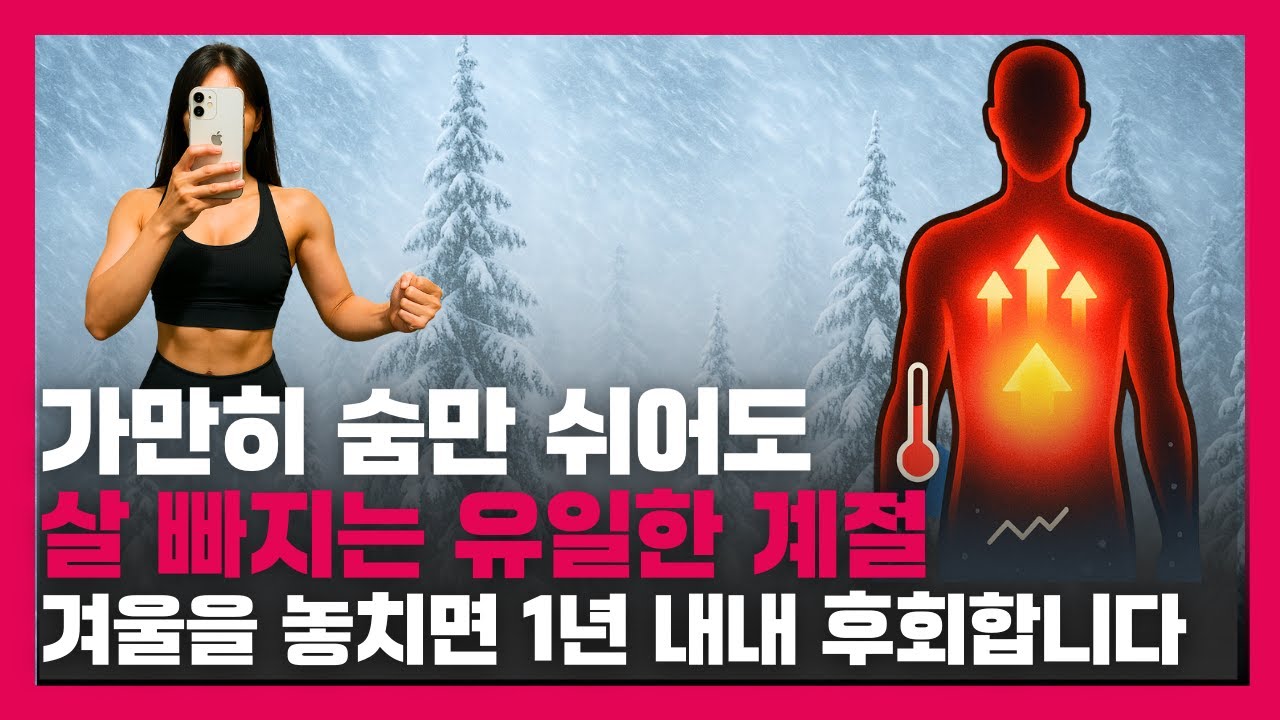 겨울 다이어트가 잘 되는 이유 (초보자도 효과 빠른 진짜 원리)