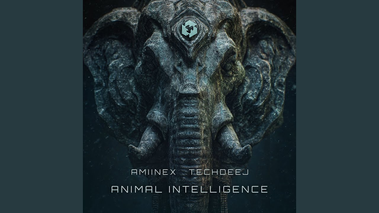 Watch Animal Intelligence on YouTube Watch Animal Intelligence on YouTube