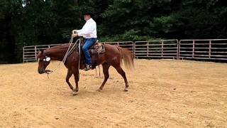 Tuffs Trail Tips- Use Of A Snaffle Bit To Control Speed