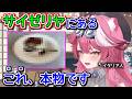 イタリア人VTuberも認めるサイゼリヤのメニュー【ホロライブ切り抜き / 英語解説 / ラオーラパンテーラ / 小鳥遊キアラ】