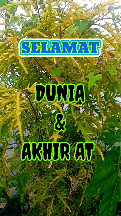 Do'a Selamat Dunia Dan Akhirat