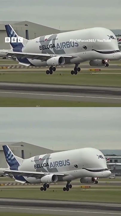 Is it a plane or is it a whale? plot twist...it’s both! ✈️ 🐋