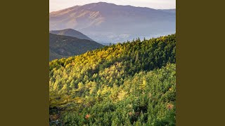 Download Lagu Key To Memory MP3