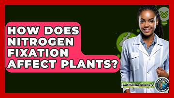 How Does Nitrogen Fixation Affect Plants? - Earth Science Answers