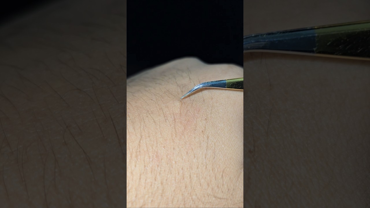 Curved Tweezer for Hair Styling