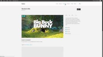 Best Wordpress theme Salient - Setting Up Your Portfolio