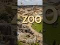 Giant Zoo Full Transformation From Nothing To Wonder #beforeandafter #shorts