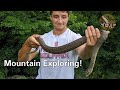 Snakes and Salamanders in the Blue Ridge Mountains of NC!