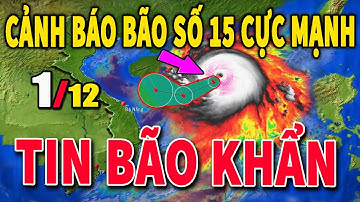 Bão Số 15 và 16 Đe Dọa Trực Tiếp Miền Trung - Cảnh Báo Khẩn Cấp!