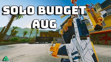 How I Make MILLIONS Using this Budget AUG Solo in Delta Force