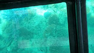 石垣島川平湾グラスボートでファインディング・ニモ
