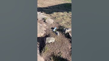 Redneck explodes Busch light on rock for entertainment (very sad)