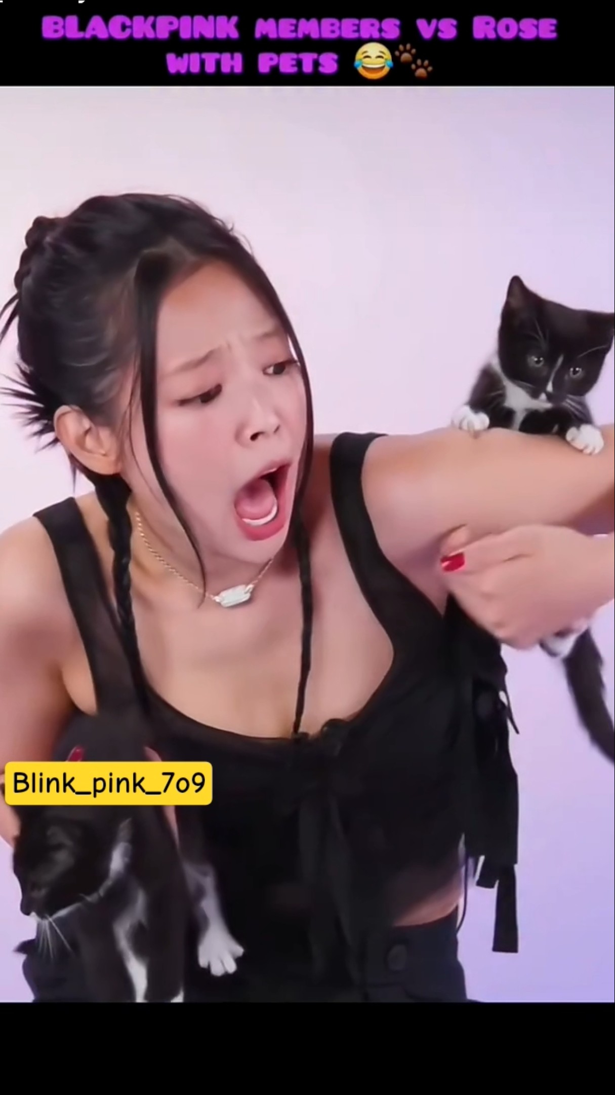 Blackpink members vs rose with pets 😂🐾 #blackpink #kpop #edit