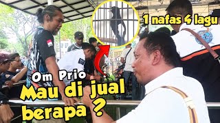 MURAI BATU SUGENG ‼️ PUKULAN MURAI TERDAHSYAT DI MASTERPIECE FEAT VIKING ARENA 🔥