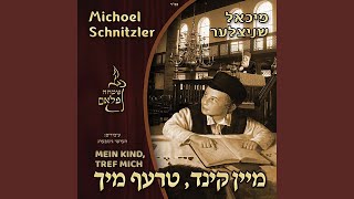 Miniatura del video "Michoel Schnitzler - Mein Kind Tref Mich"