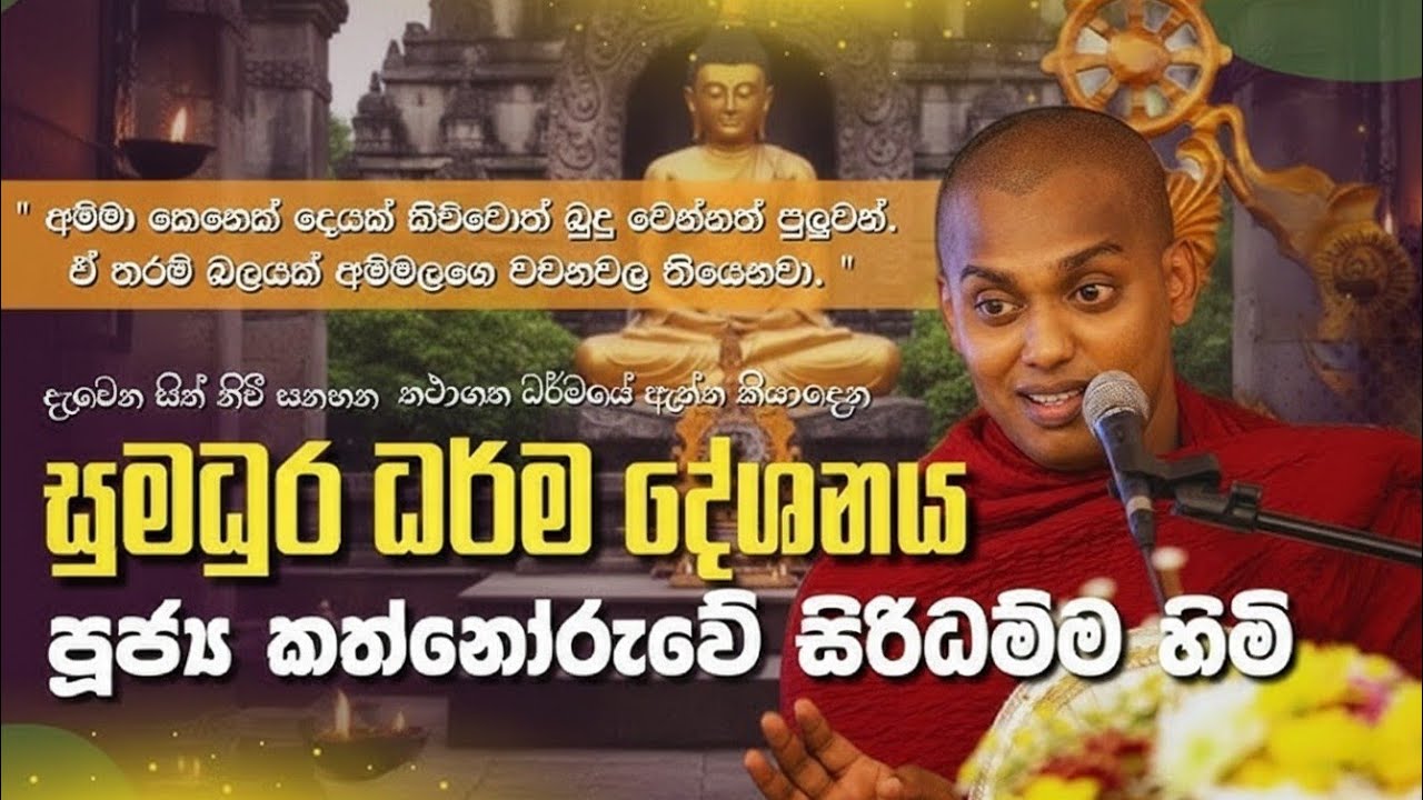 🔴 කත්නෝරුව හිමිගේ උපන් ගම කත්නෝරුව සිට සජීවිව | Ven Kathnoruwe Siridhamma Tero | DharmalokaYT