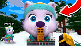 ENCONTRÉ LA CASA DE EVEREST PAW PATROL EN MINECRAFT 😱 by Massi 122,534 views 10 days ago 14 minutes, 13 seconds